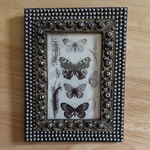 Vintage 90s Ornate Hobnail Butterfly Art Frame | Entomology Print